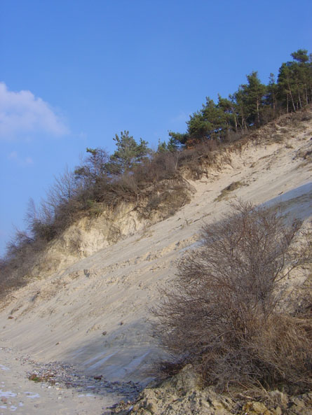klif06