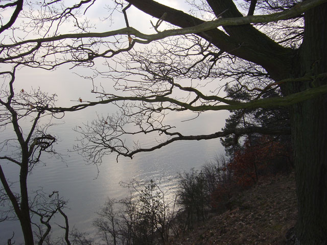 klif11