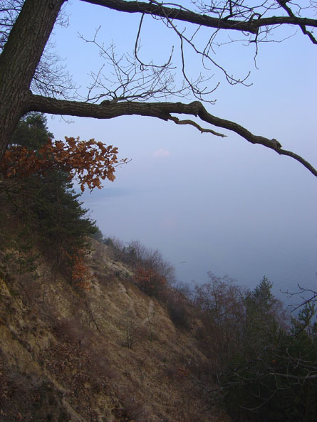 klif20