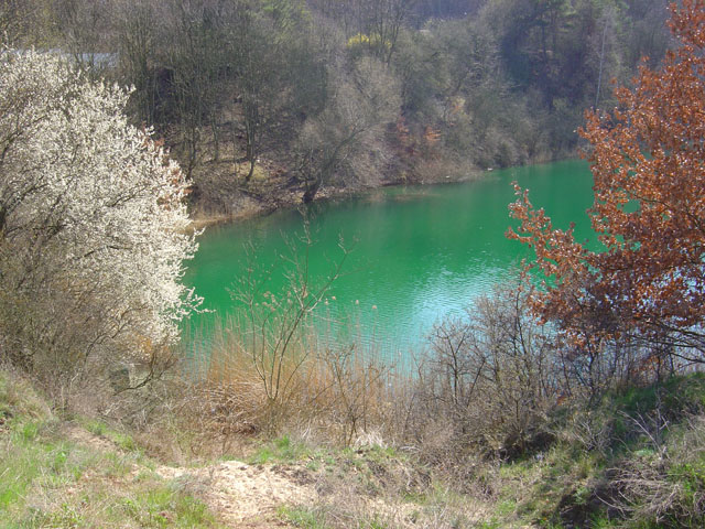Jeziorko Turkusowe
