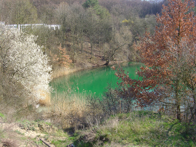 Jeziorko Turkusowe