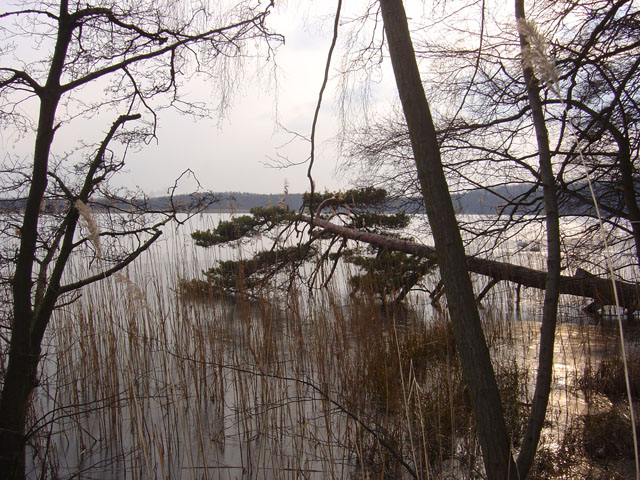 Jezioro ...
