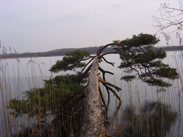 Jezioro ...