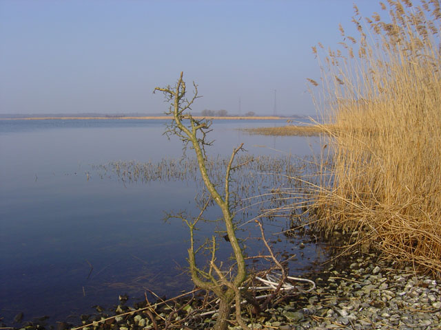 Jezioro ...