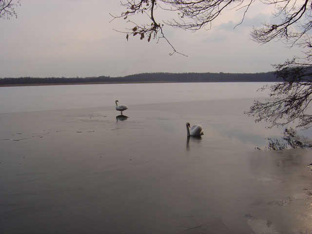 Jezioro ...